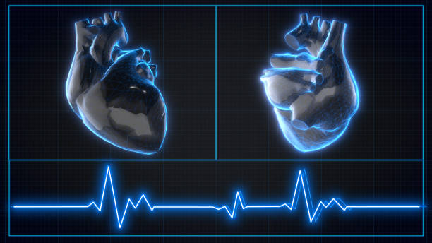 Black and blue hologram image of a human heart.